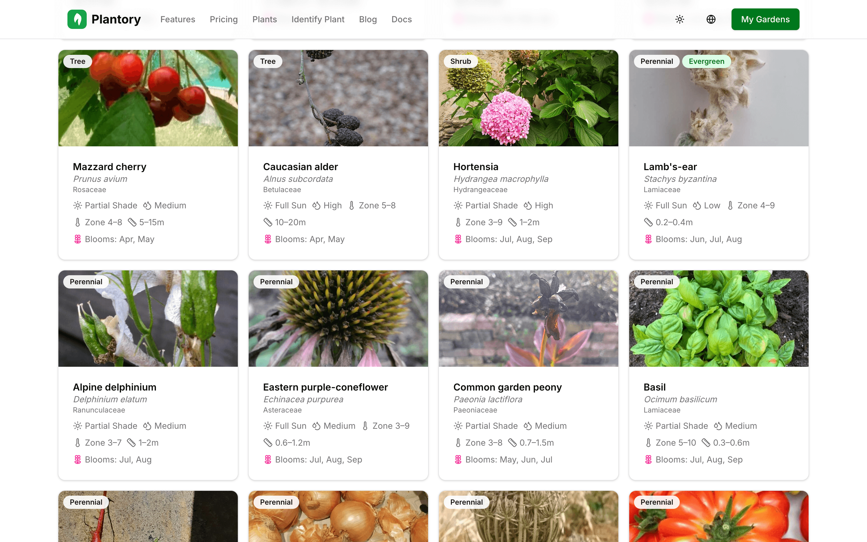 Stránka procházení encyklopedie rostlin s filtry